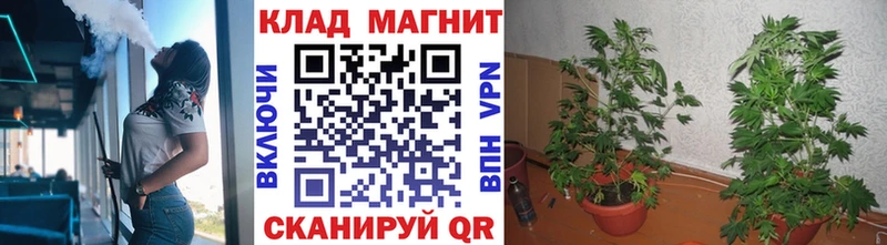 Купить наркотики цена Балашиха КОКАИН A-PVP АМФЕТАМИН Меф мяу мяу MDMA ГАШ
