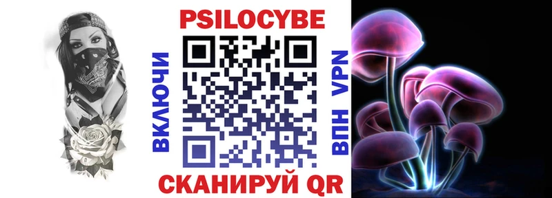 Галлюциногенные грибы Psilocybe  Балашиха 