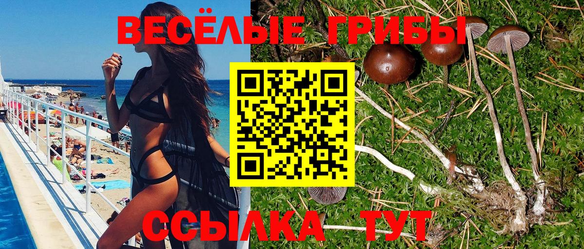 Псилоцибиновые грибы Cubensis  Вход с VPN  Балашиха 